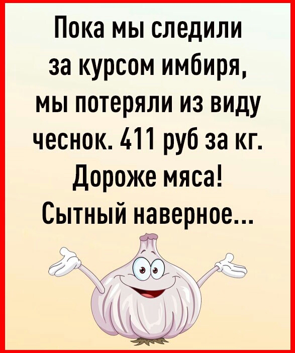 Пока мы следили за курсом имбиря мы потеряли из виду чеснок 411 руб за кг Дороже мяса Сытный наверное