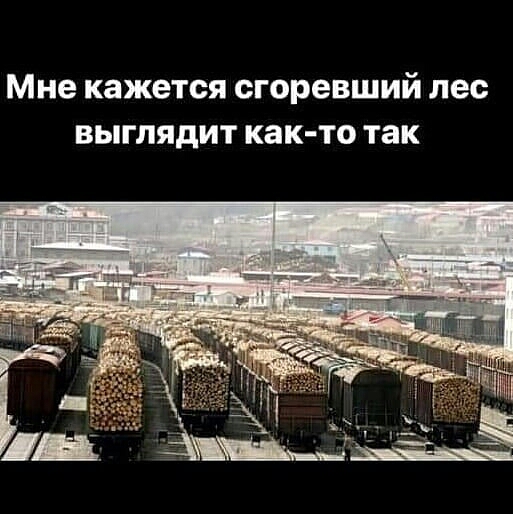 Мне кажется сгоревший лес выглядит как то так