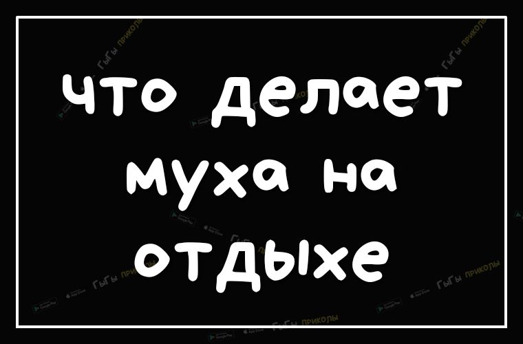 что делает муха на отдыхе