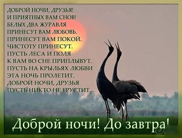 доврои ночи друзья и приятных ВАМ сновэ БЕЛЫХ ДВА ЖУРАВЛЯ приннсут ВАМ ЛЮБОВЬ принвсут ВАМ покои чистоту принесут пусть ЛЕСА и поля к ВАМ во СНЕ приплывут пусть НА крыльях Аювви ЭТА ночь пролвтит доврои ночи друзья пусть никто нв грустит М Доброй ночи До завтрдаі