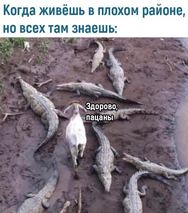 Когда живёшь в плохом районе но всех там знаешь