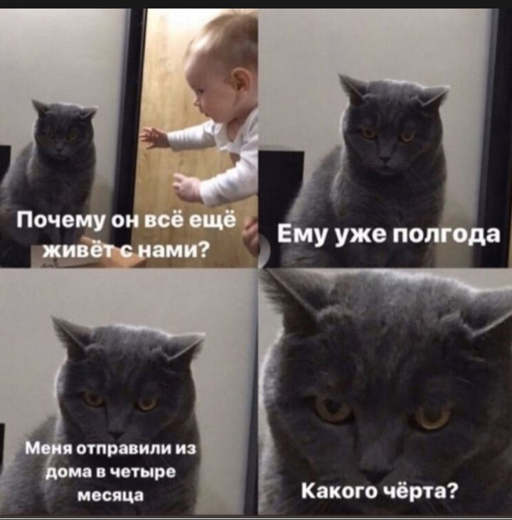 __ у уже пот ода отправили и тр носящ Какого чёрта