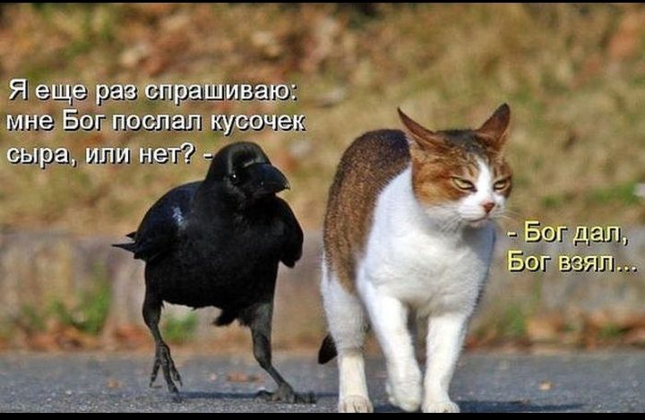 Я еще иш спрэд мые Бог иш пыл 305 на Бог дал Бог чил