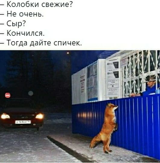 Колобки свежие Не очень Сыр Кончился Тогда дайте спичек