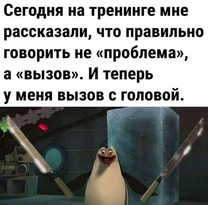 Сегодня на тренинге мне рассказали что правильно говорить не проблема а вызов И теперь у меня вызов с головой 4 т