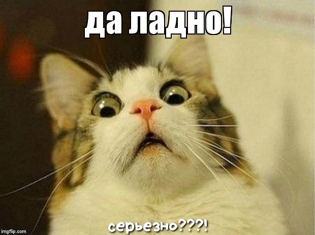 вашим