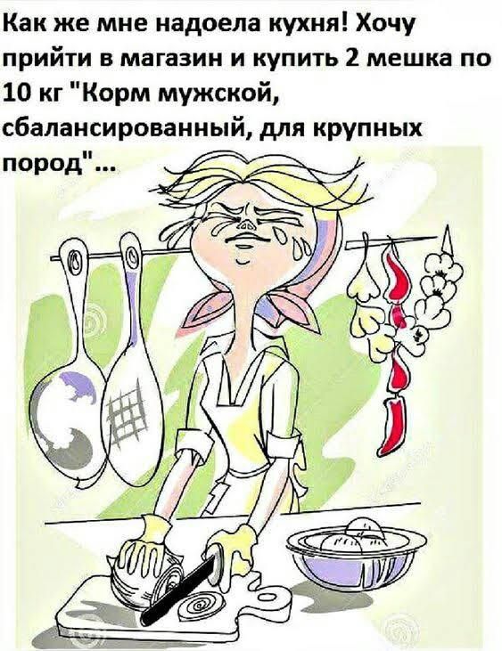 Как же мне надоела кухня Хочу прийти в магазин и купить 2 мешка по 10 кг Корм мужской сбалансированный для крупных