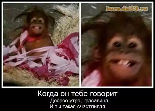 Когда он тебе говорит Доброе тю красавица и ты такая счастливая
