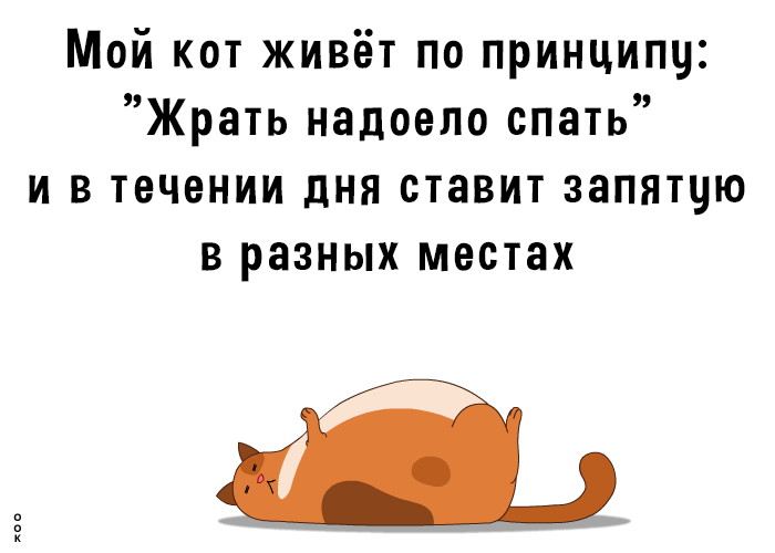 Мой кот живёт по принципу Жрать надоело спать и в течении дня ставит запятую в разных местах