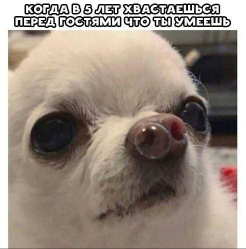 В 9513 хвдетдвшьея гостями ШЕЗЕЬ г