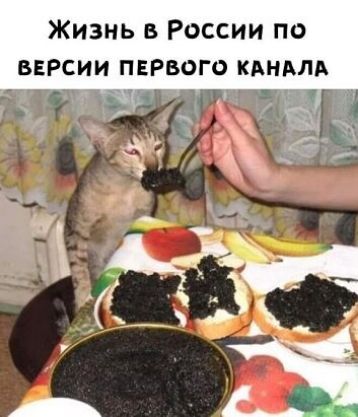 Жизнь в России по
