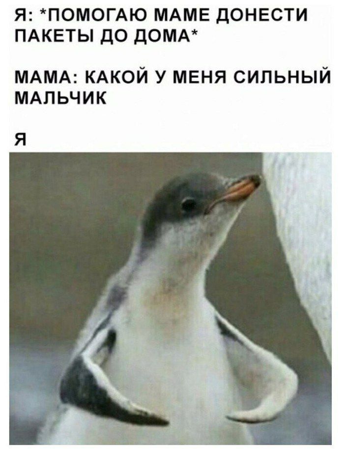 Я ПОМОГАЮ МАМЕ ДОНЕСТИ ПАКЕТЫ ДО ДОМА МАМА КАКОЙ у МЕНЯ сильный МАЛЬЧИК Я