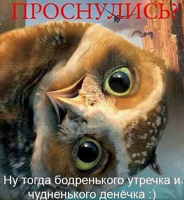 _РСОНУЦИ