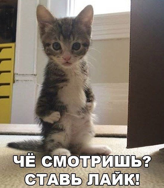 ЁМЬ