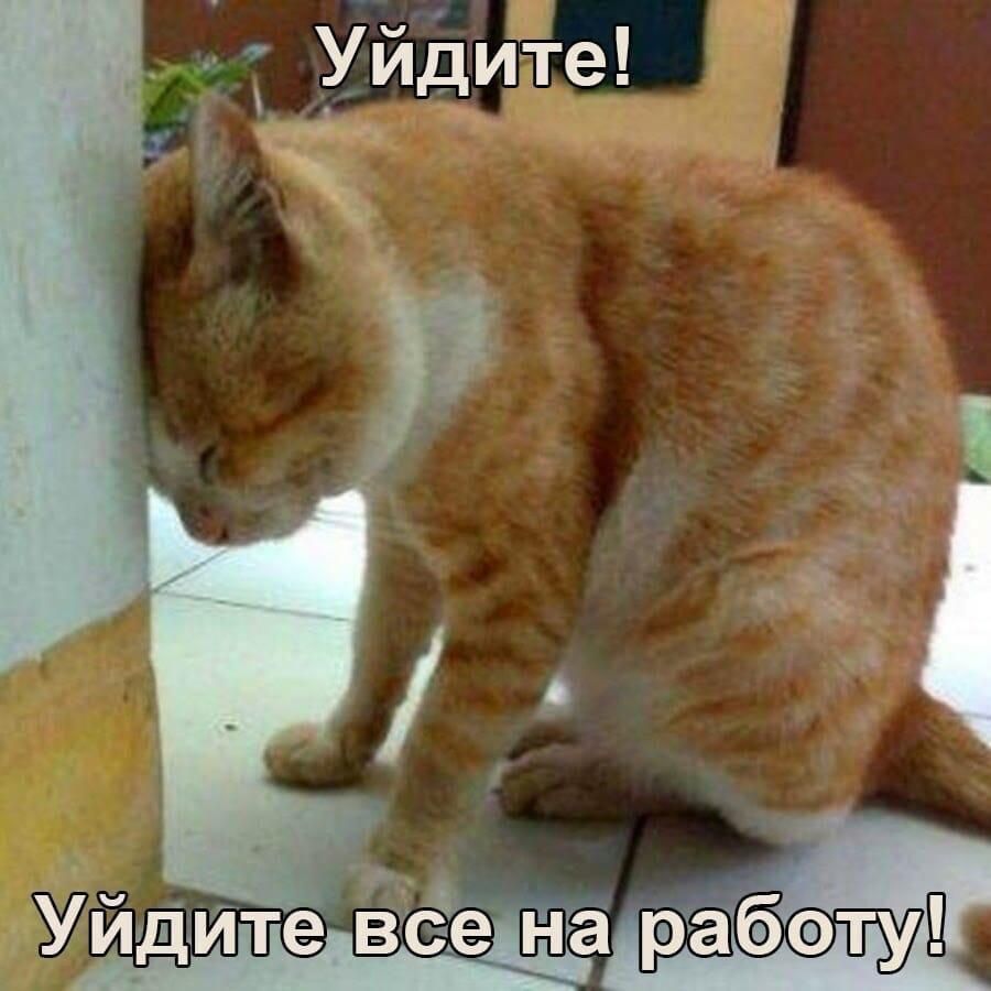 УЙДИТе А і