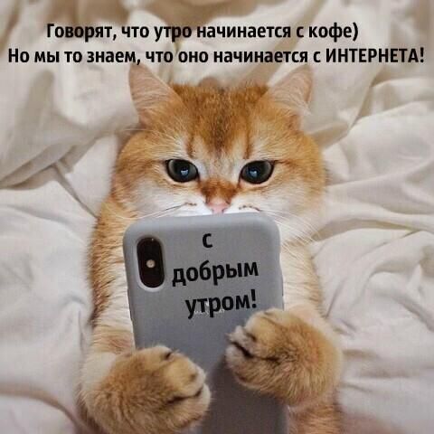 Го тчто ачинаетсяскофе Но мы то знаем чтооно начинается ИНТЕРНЕТА