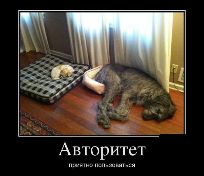 Авторитет ПРИЯТНО ПОП ЬЗОВЭТЬСЯ