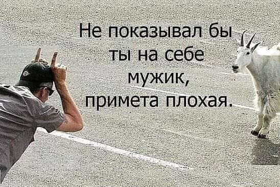 мужик д Нримёіаллохая
