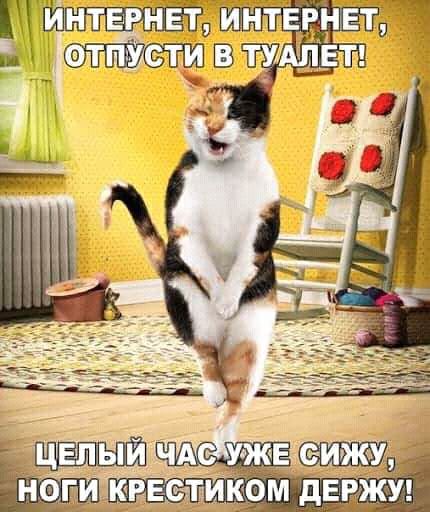 а ЕЁНЕТП тудщіт нт в ТПУСТИ
