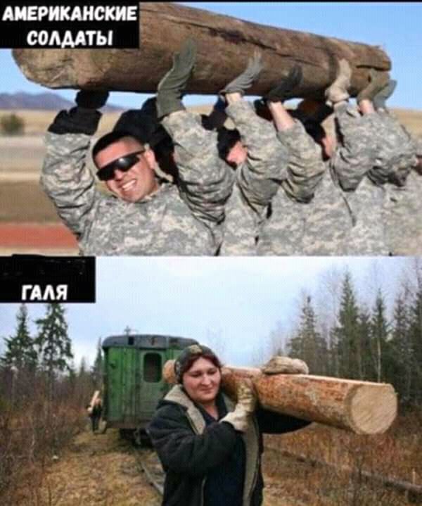 шрикдискив содмты