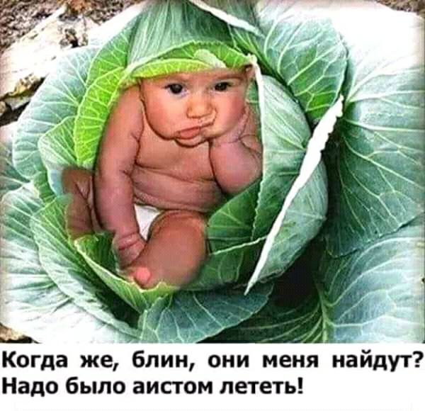 Когда же блин они меня найдут Надо было аистом лететь