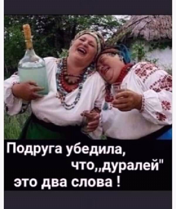 _в _ __ 12 _ чд_ Подруга убедила чтодуралей это два слова