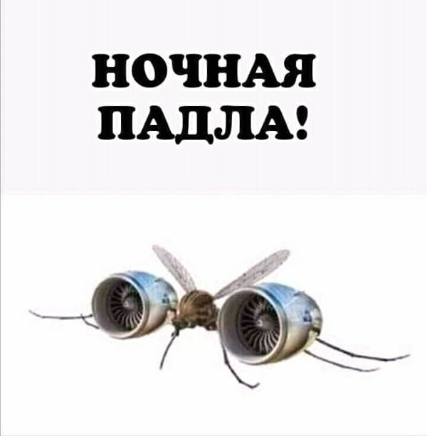 НОЧНАЯ ПАДЛА