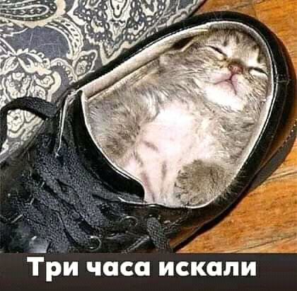Три Чада икаБЁГЙ