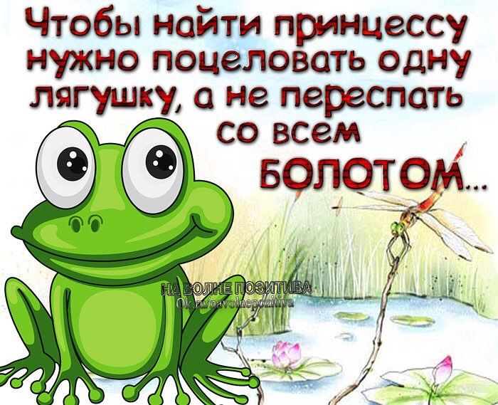 Чтобы найти принцессу нужно поцеловать одну лягушку а не переспать