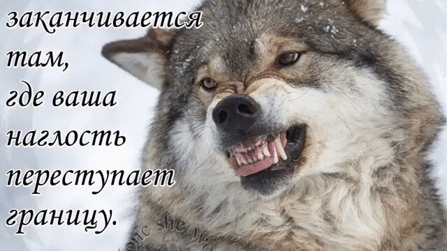 там где ваша наглость