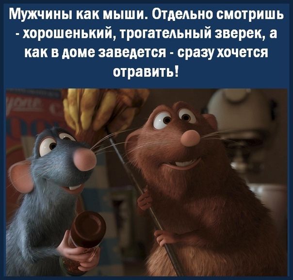 Мужчины как мыши Отдельно смотришь хорошенький трогательный зверек а как в доме заведется сразу хочется отравить