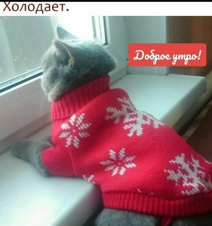 Холодает