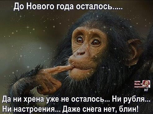 до Нового года осталось к г Да ни хрена уже не осталось Ни рубля Нинастроения Даже снега нет блин