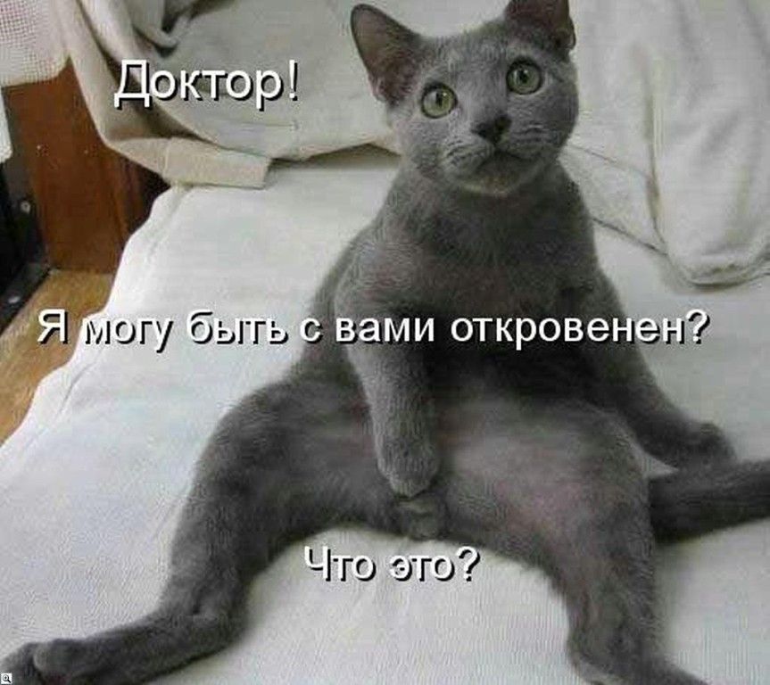 Что это