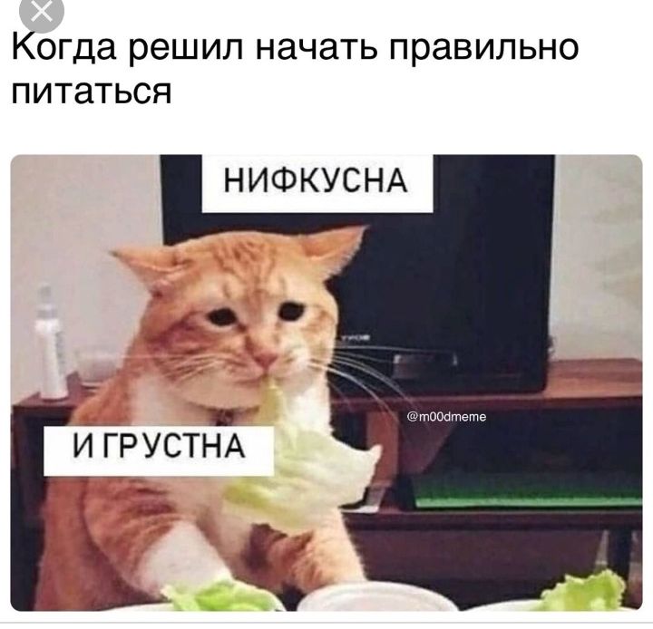 Когда решил НдЧдТЬ правильно питаться НИФКУСНА