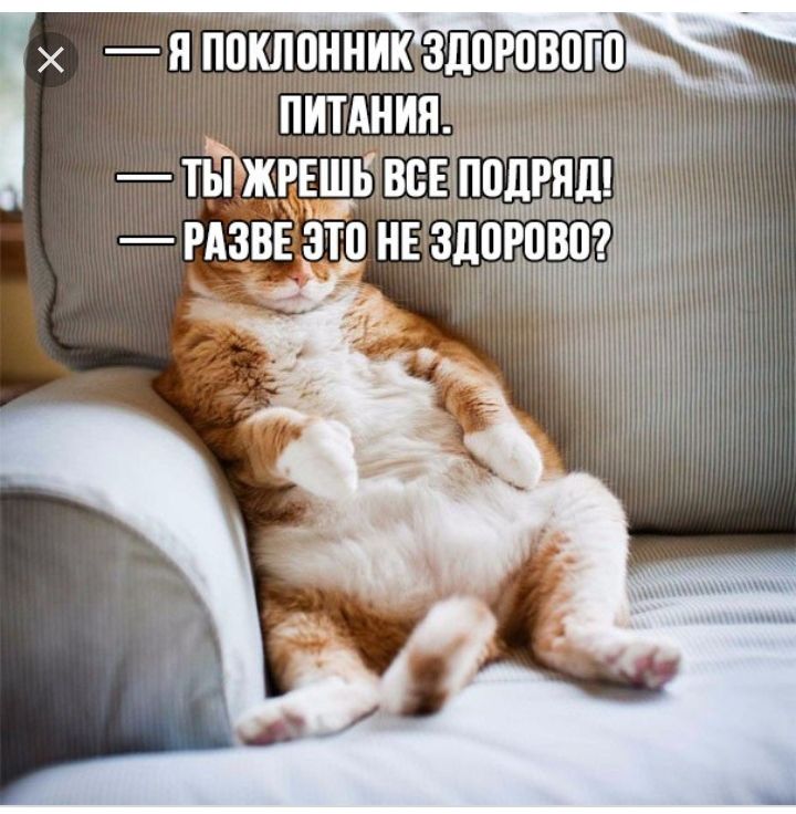 Я ППКЛВННИК 3д0Р080Г0 ЧЁ Н Нні тгжрвщь А