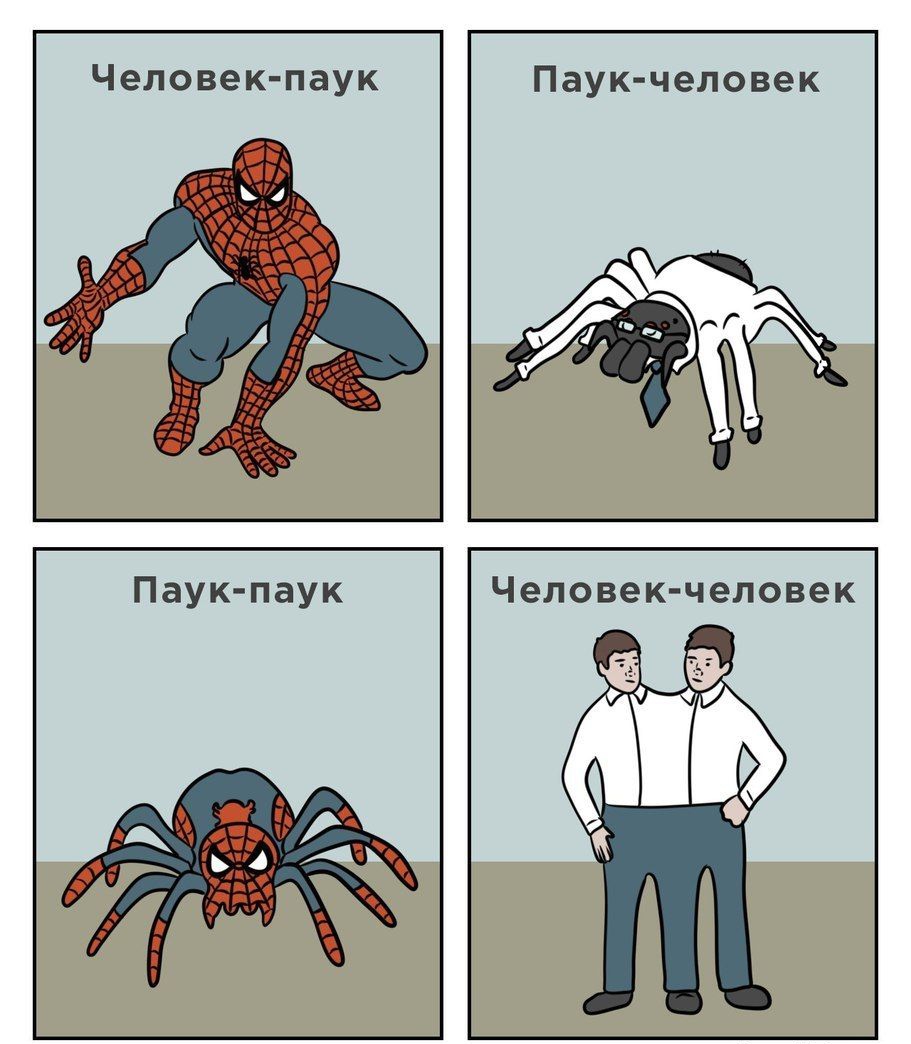 Человек паук Паук человек Паук паук