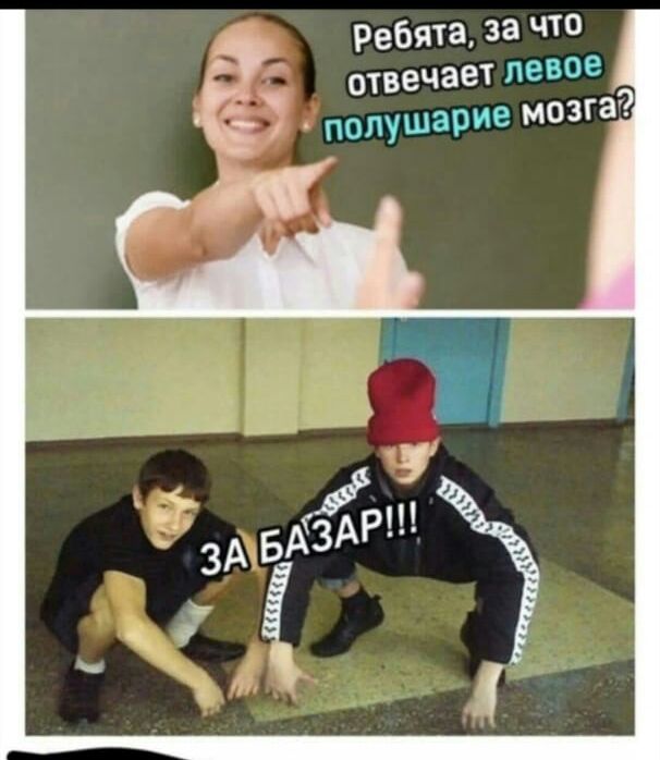 ребята за что _ отвечает левое полушарие мозга
