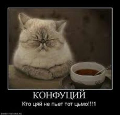 и д 1 конфуъши кп чт ив пьвтт ьмопп