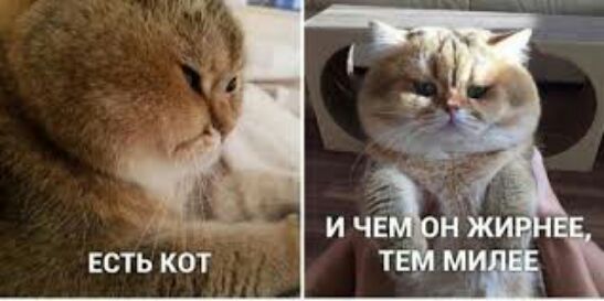 ЕСТЬ кбт