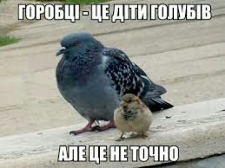 гоговшЦъШгопивпв