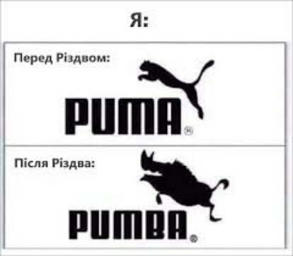 Я Парк д Ріддпом У Після Різдва риши