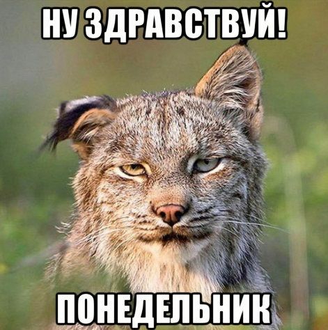 ЗДРАВВТВУЙ