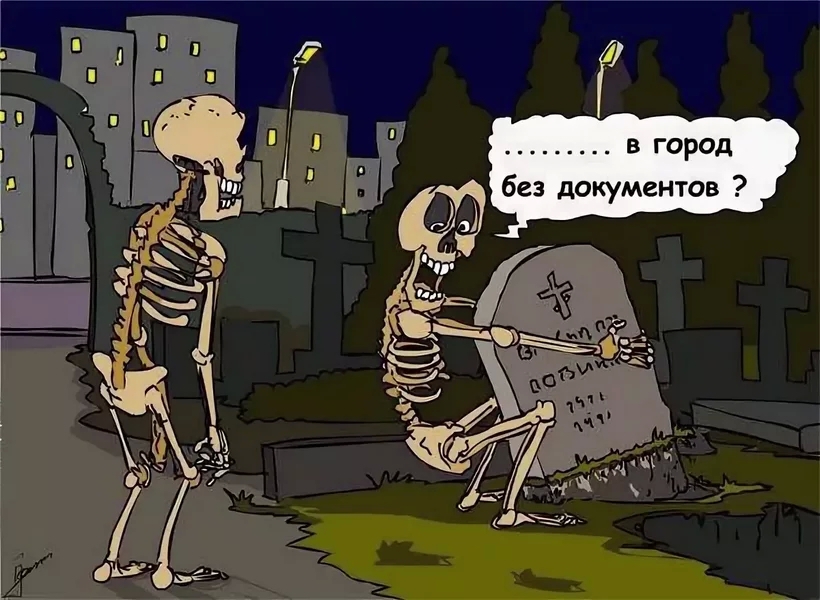 _ в город без документов