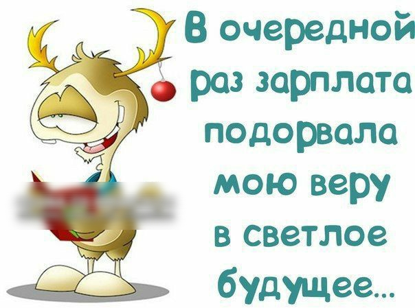 В очередной роз зарплата подорвало мою веру в светлое будущее