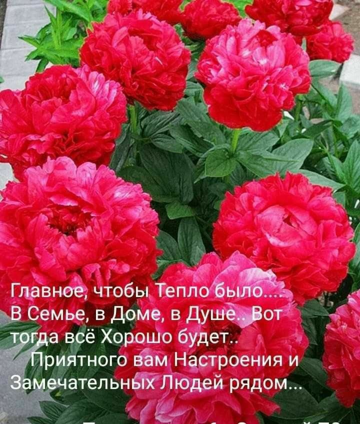 Гцавнее чтобы Тепло ж д Ёемье вдаме вдушёіот х ё Хорошо будет тного вЪм Настроения и тельнЁБЁП юдей рядом