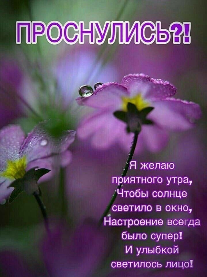 приятного утра Чтобы солнце светило в окно Йастроение всегда было супер И улыбкой светилось лицо