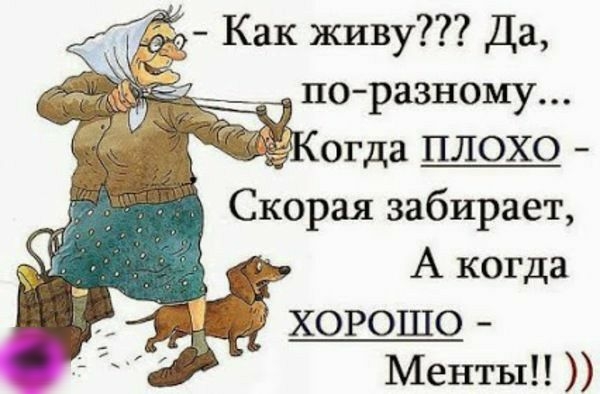 Как живу Да по азно 732 Р МУ ОГда__ ПЛОХО Скорая забирает А когда ХОРОШО Менты