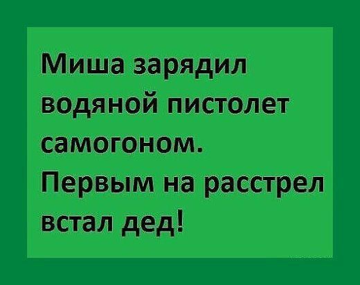 Миша зарядил водяной пистолет самогоном Первым на расстрел встал дед