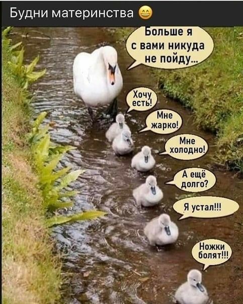 БУДНИ материнства ольше я с нами никуда не пойду Мне жарки Мне холодно
